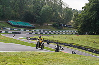 Lower Group Yellow Bikes